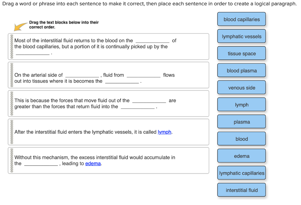 Solved Drag a word or phrase into each sentence to make it