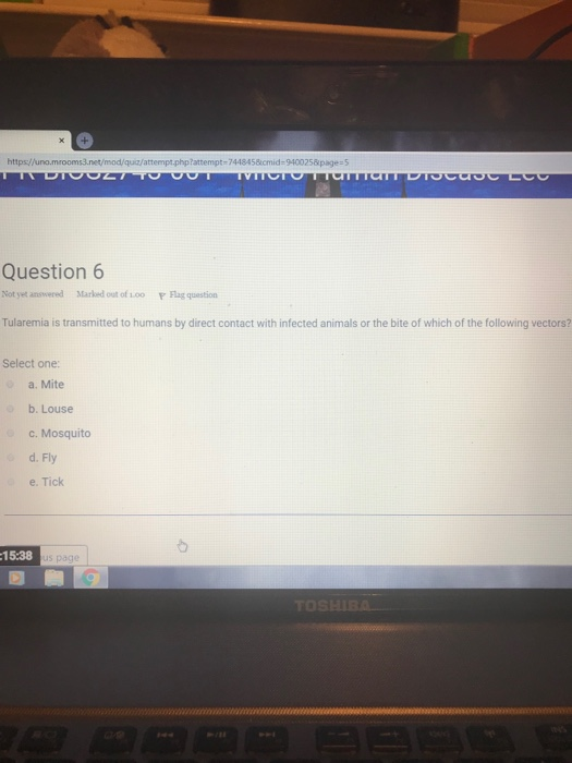 markmywords reddit yes or no markmywords reddit yes or no