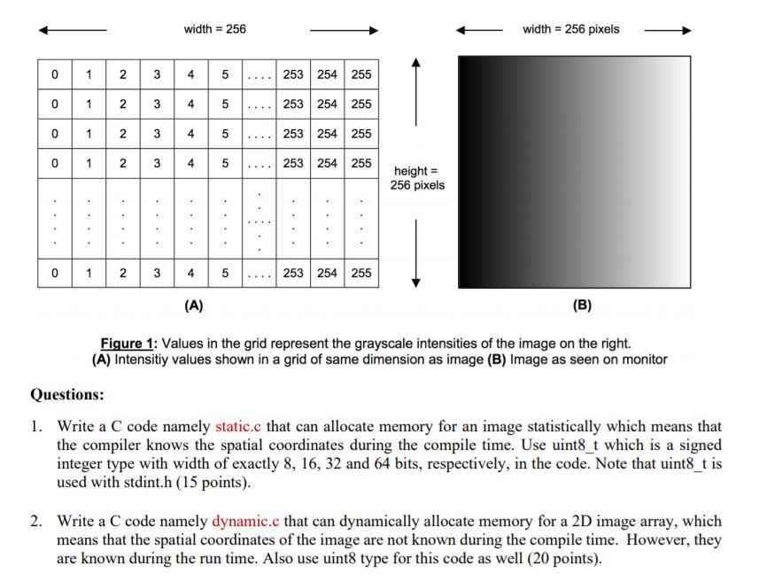 Solved Background Information A Digital Image Can Chegg