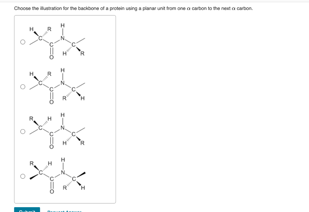 Solved Choose the illustration for the backbone of a protein | Chegg.com