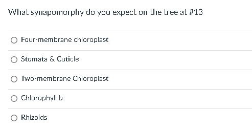 What synapomorphy do you expect on the tree at #13
Four-membrane chloroplast
Stomata \& Cuticle
Two-membrane Chloroplast
Chlo