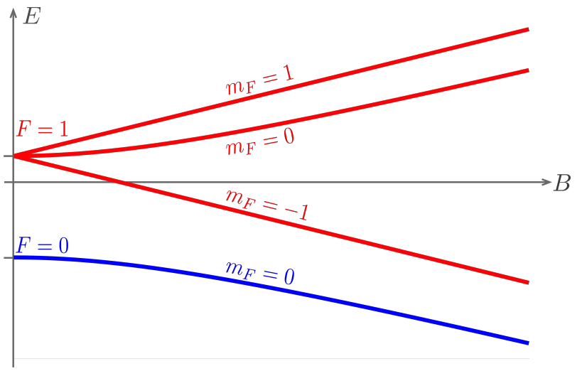 Zeeman effect of the ground state of the | Chegg.com