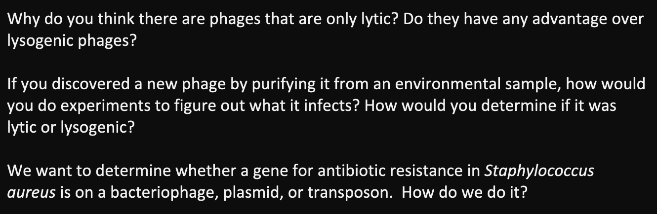 Solved Why Do You Think There Are Phages That Are Only Chegg Com