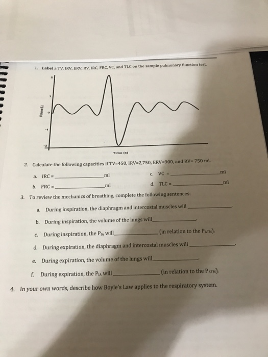 Solved 1. Label a TV IRV, ERV, RV, IRC, FRC, VC, and TLC on