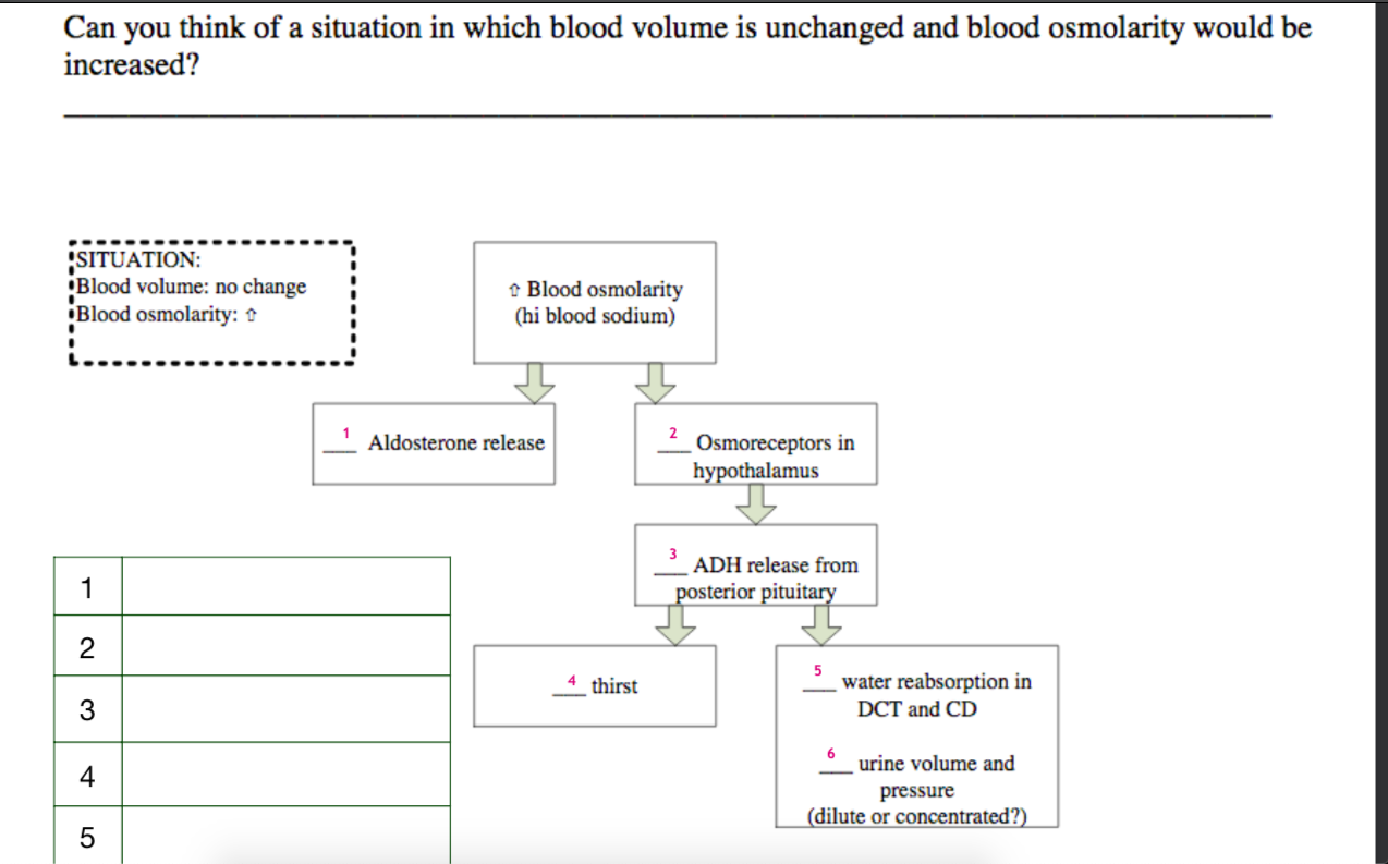 Solved Can you think of a situation in which blood volume is | Chegg.com
