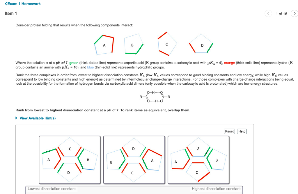Solved Exam 1 Homework tem 1 1 of 16 Consider protein | Chegg.com