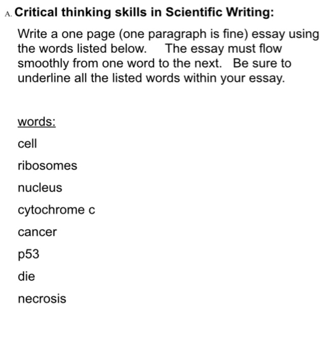 write one paragraph essay