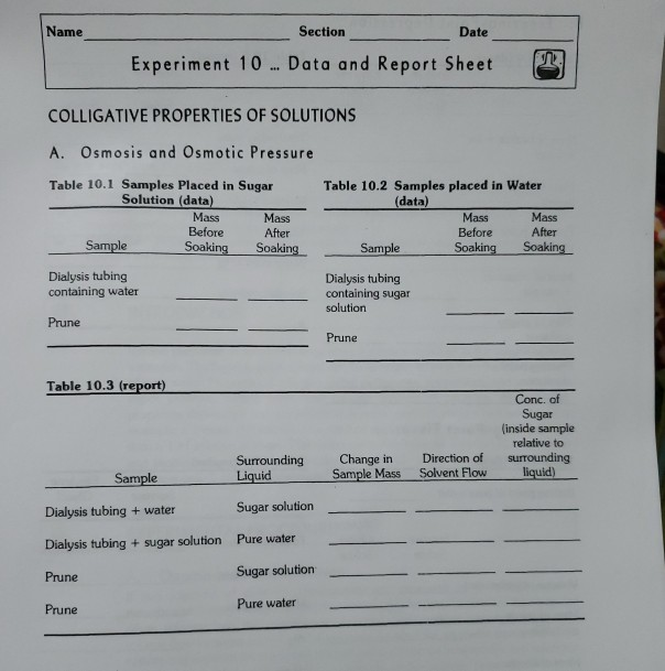 Name Section Date Experiment 10 ... Data and Report | Chegg.com