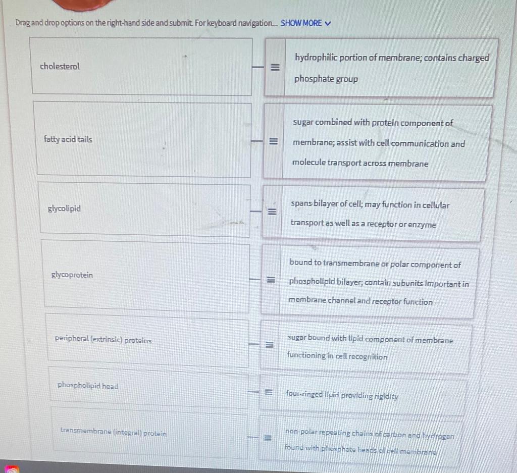 Solved Drag and drop options on the right-hand side and | Chegg.com