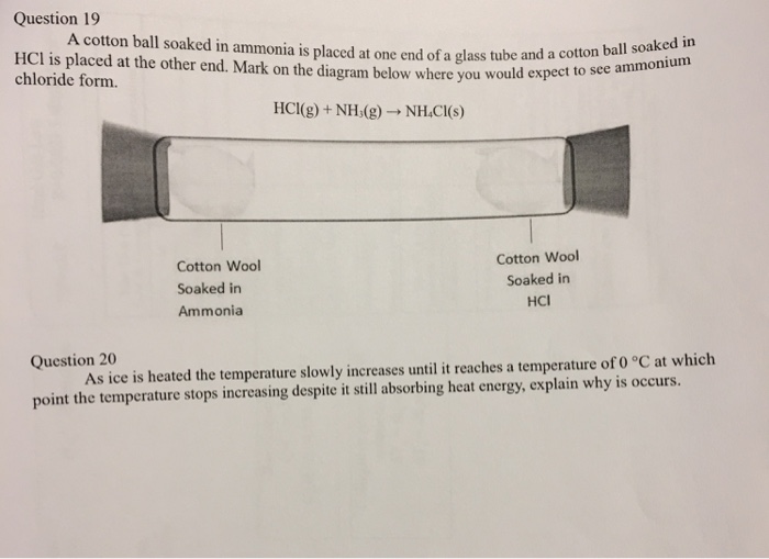 Solved A cotton ball soaked in ammonia is placed at one end