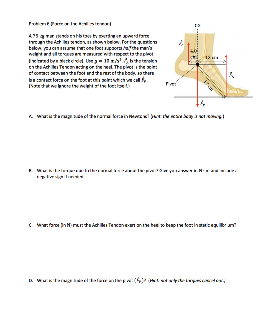 Solved Problem 6 (Force on the Achilles tendon) ------- FA | Chegg.com