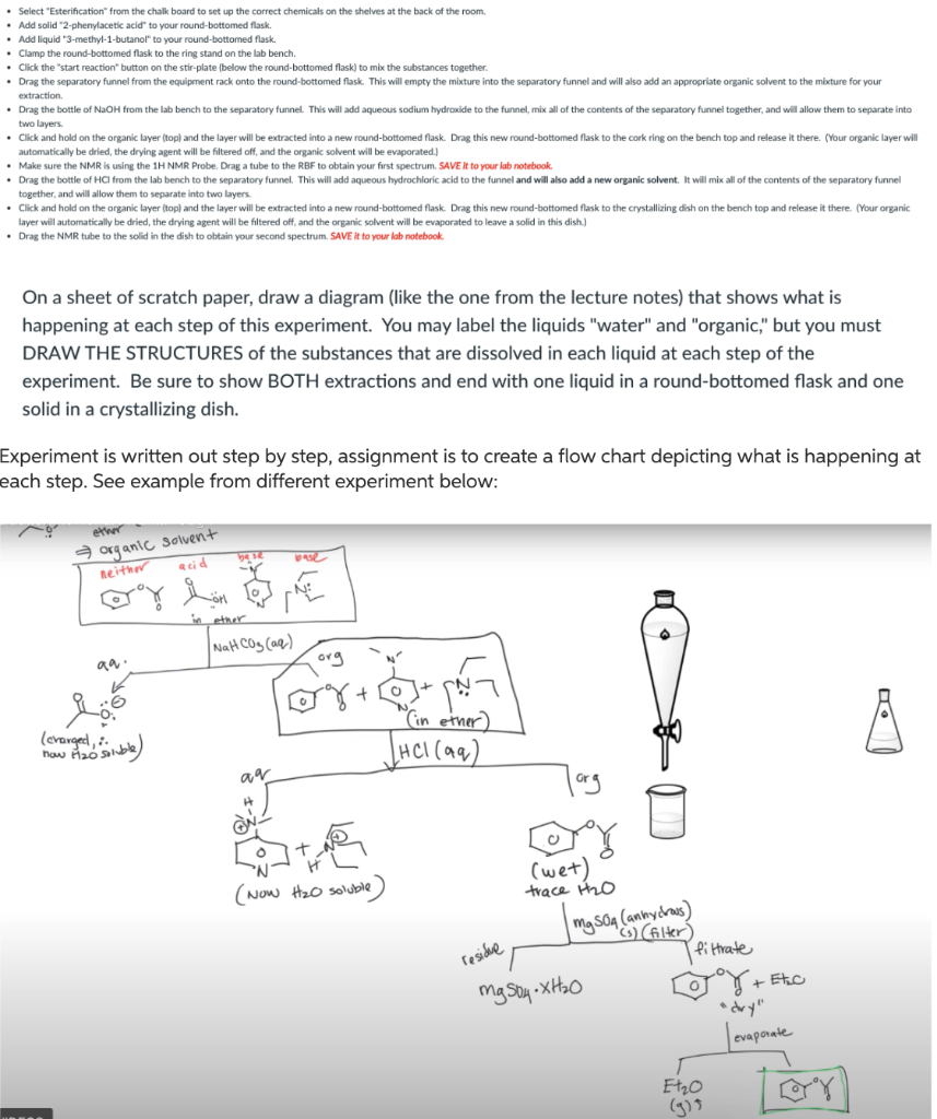 Solved Experiment Procedure: READ EXPERIMENT PROCEDURE | Chegg.com