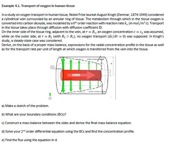Example 4.1. Transport of oxygen in human tissue In a | Chegg.com