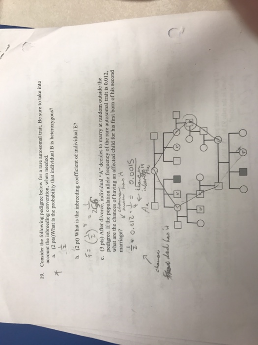 Solved Consider the following pedigree below for a rare | Chegg.com