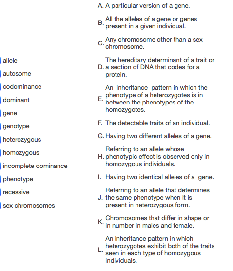 Solved A. A particular version of a gene. All the alleles of | Chegg.com