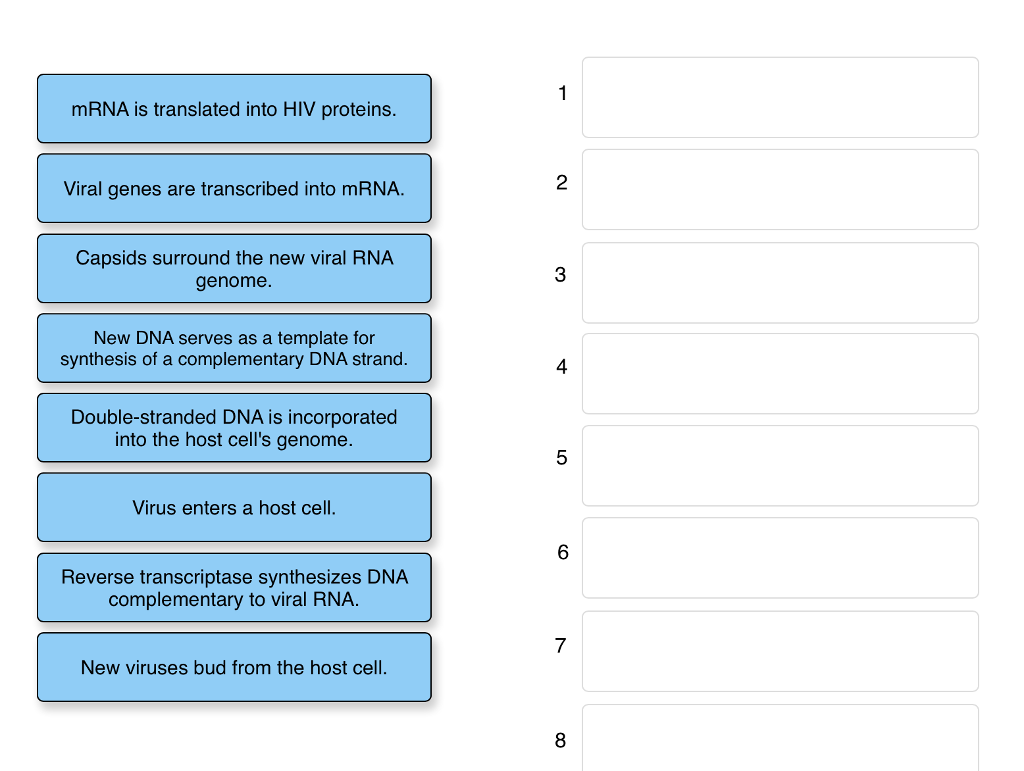 solved-6-put-the-events-that-occur-during-hiv-infection-in-chegg