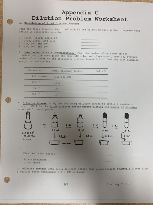 Solved Appendix C Dilution Problem Worksheet A. Calaulation