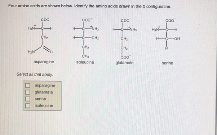 Solved Four amino acids are shown below. Identify the amino | Chegg.com