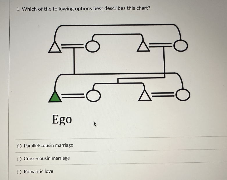 1. Which of the following options best describes this