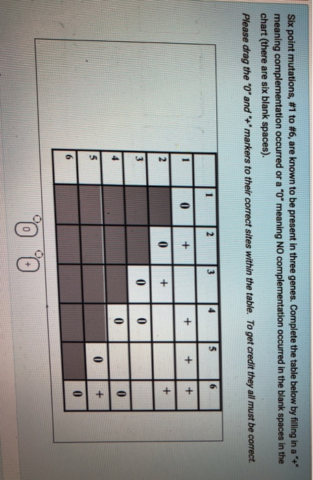 Solved Six point mutations, #1 to #6, are known to be | Chegg.com