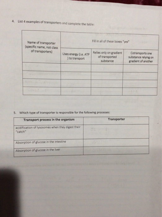 Solved 4. List 4 examples of transporters and complete the