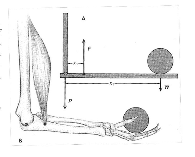 solved-for-each-problem-draw-a-force-diagram-for-the-chegg