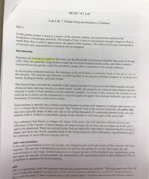 BCHE 341 Lab Lab 6 & 7 Potato Enzyme