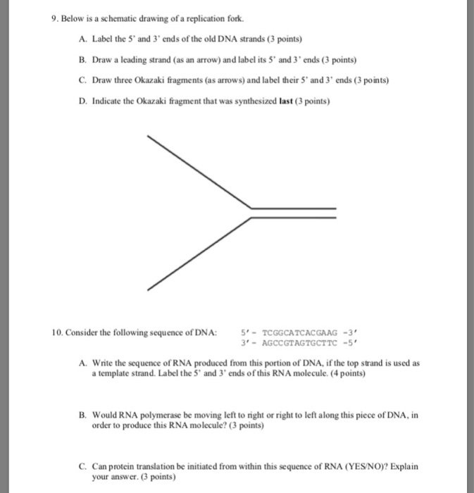 Solved 9. Below Is A Schematic Drawing Of A Replication | Chegg.com