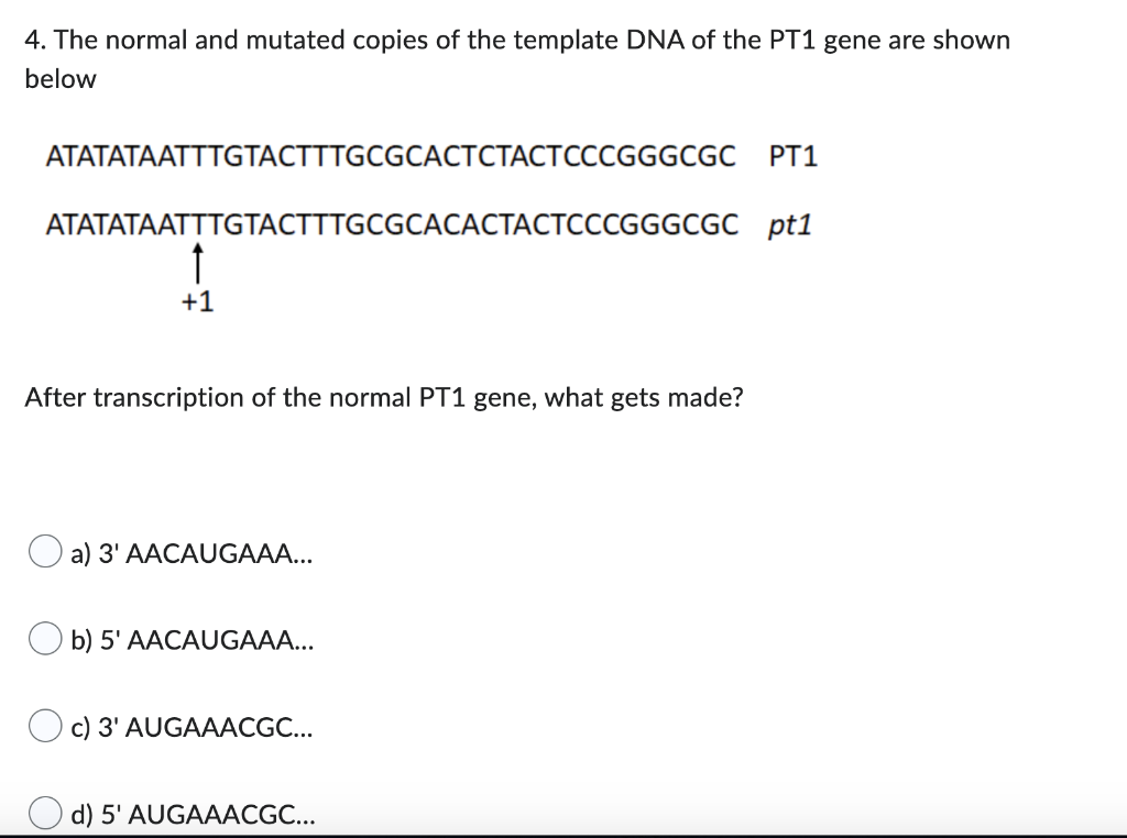 Solved 4. The normal and mutated copies of the template DNA | Chegg.com