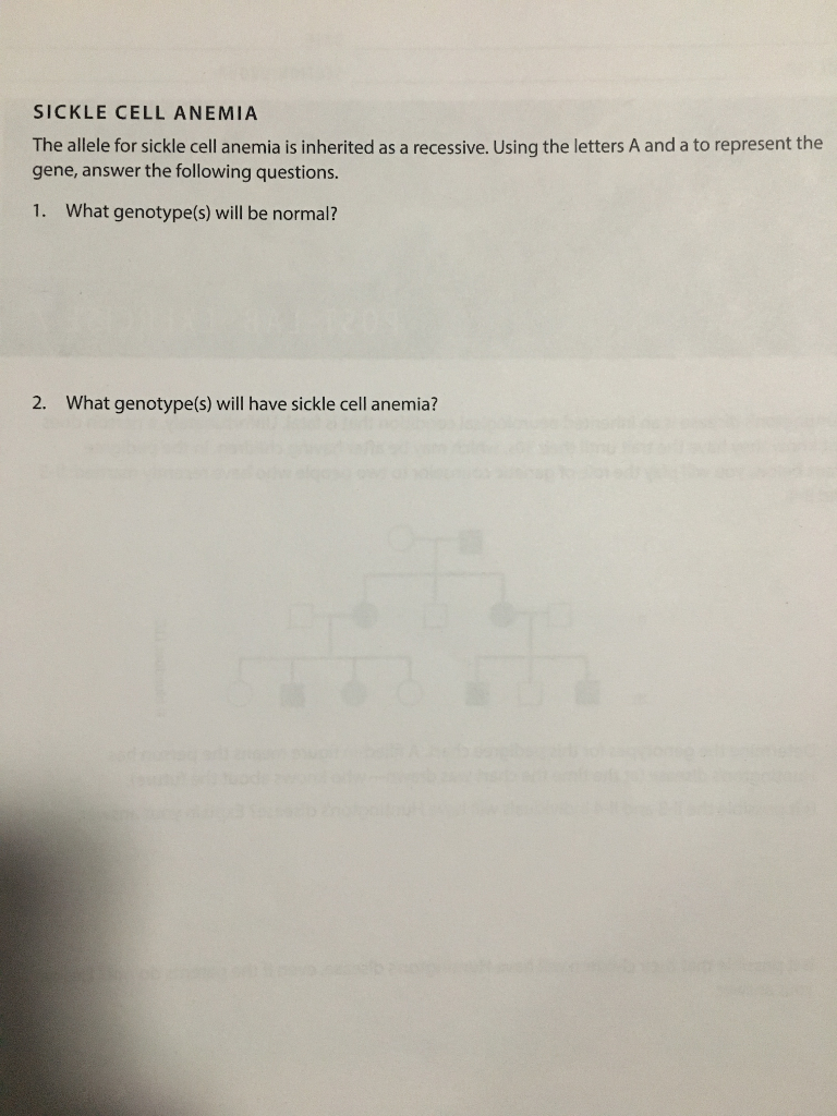 Solved SICKLE CELL ANEMIA The Allele For Sickle Cell Anemia | Chegg.com