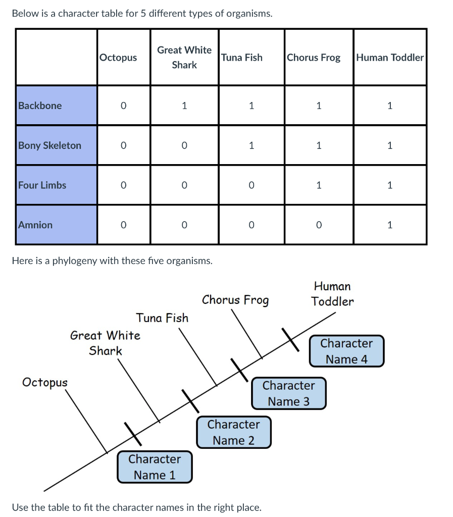 Solved Below is a character table for 5 different types of | Chegg.com