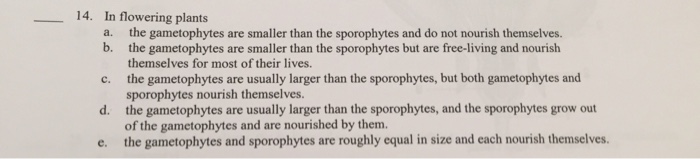 Solved 14 In Flowering Plants The Gametophytes Are Smaller Chegg