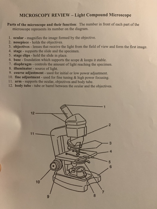 Solved MICROSCOPY REVIEW Light Compound Microscope Parts of