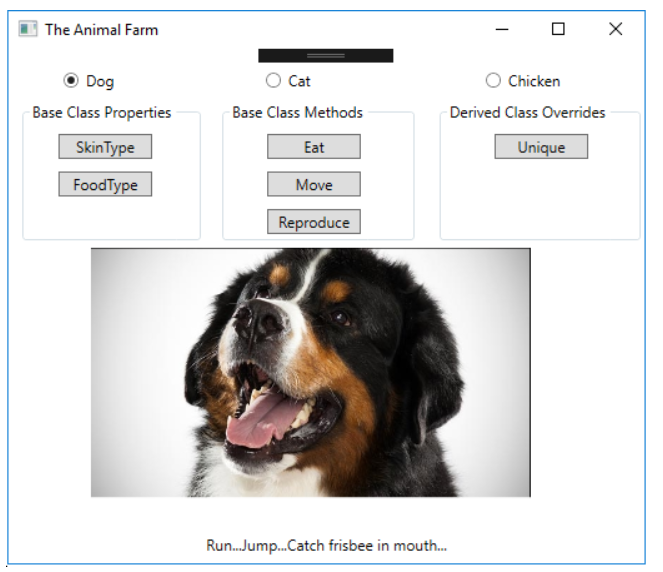 The Animal Farm Х Dog Base Class Properties Skin Type | Chegg.com