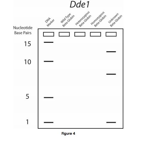 Need help with this lab, please! First part of | Chegg.com