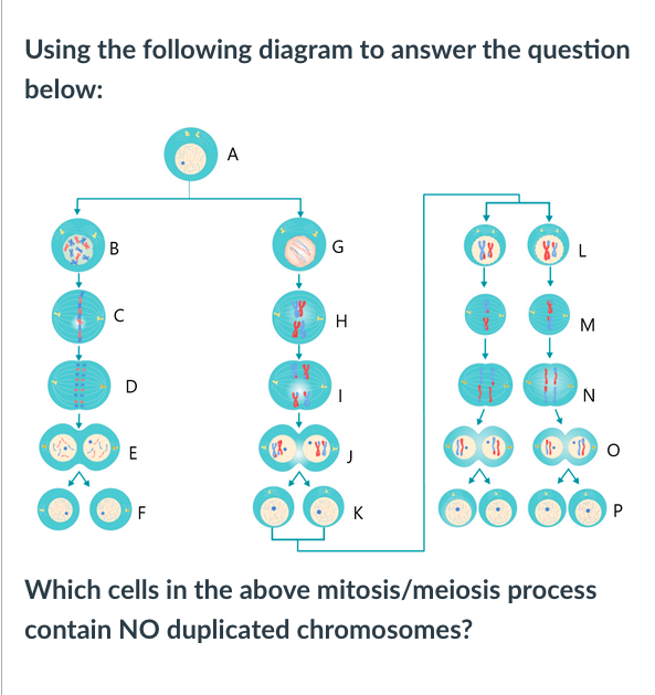 Solved Using the following diagram to answer the question | Chegg.com