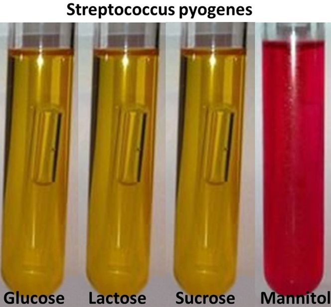 Solved Use the below image to select ALL the correct