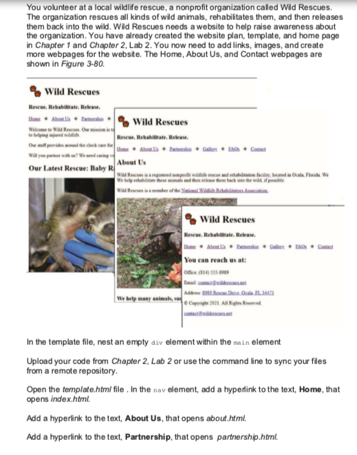 You volunteer at a local wildlife rescue, a nonprofit | Chegg.com
