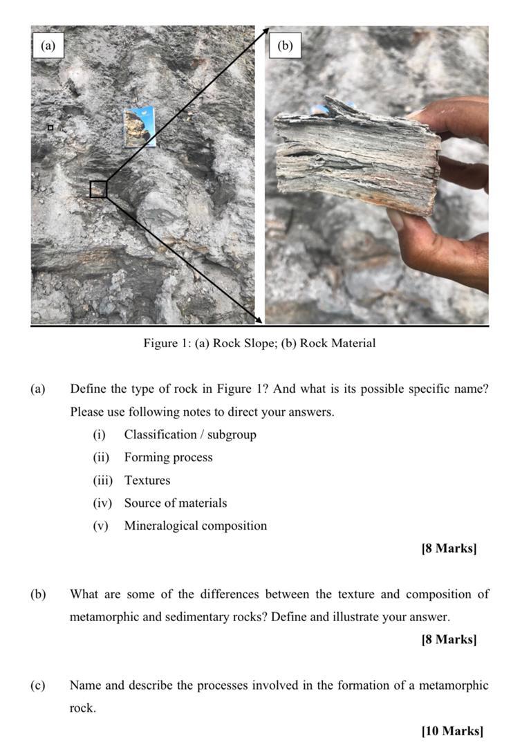 Sedimentary Rocks Type, Formation, Classification & Uses