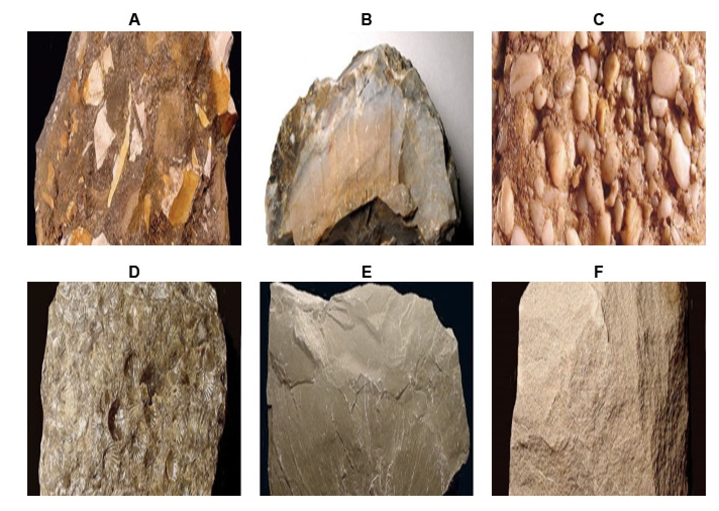 Solved 9. Identify each of the given sedimentary rocks using | Chegg.com