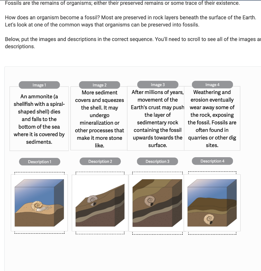 Solved Can you tell me if this order is correct? What are