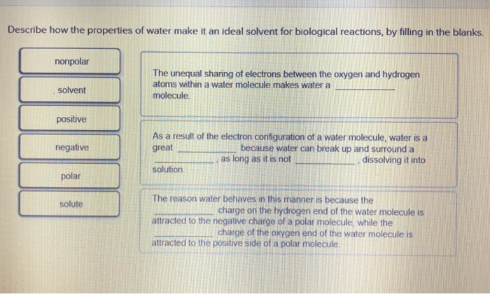 solved-describe-how-the-properties-of-water-make-it-an-ideal-chegg