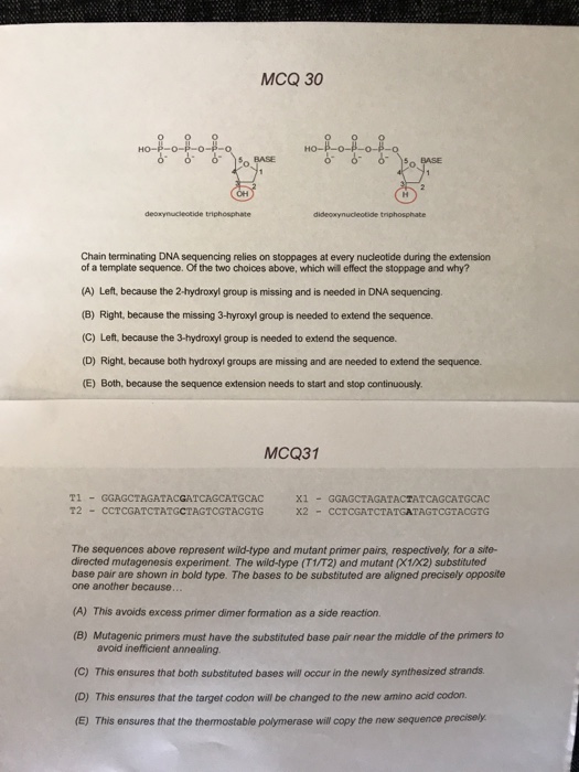 Solved MCQ 30 BASE OH Chain terminating DNA sequencing