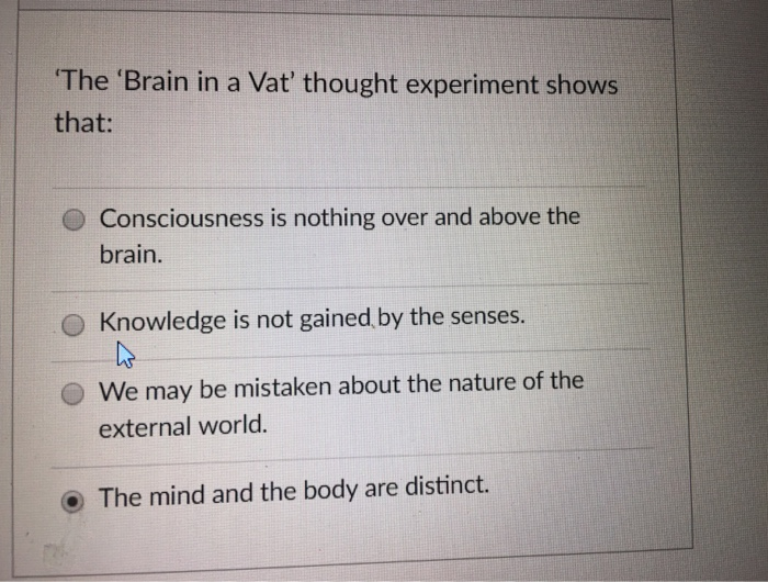 brain in vat thought experiment