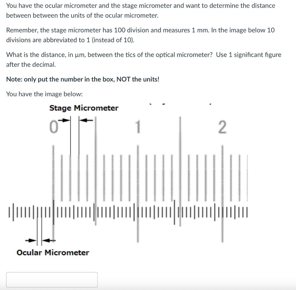 Solved You have the ocular micrometer and the stage