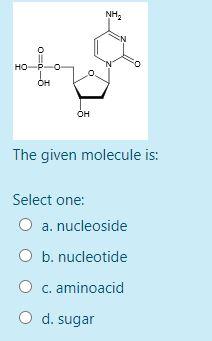 Solved Which amino acid can form a disulfide bond in a | Chegg.com