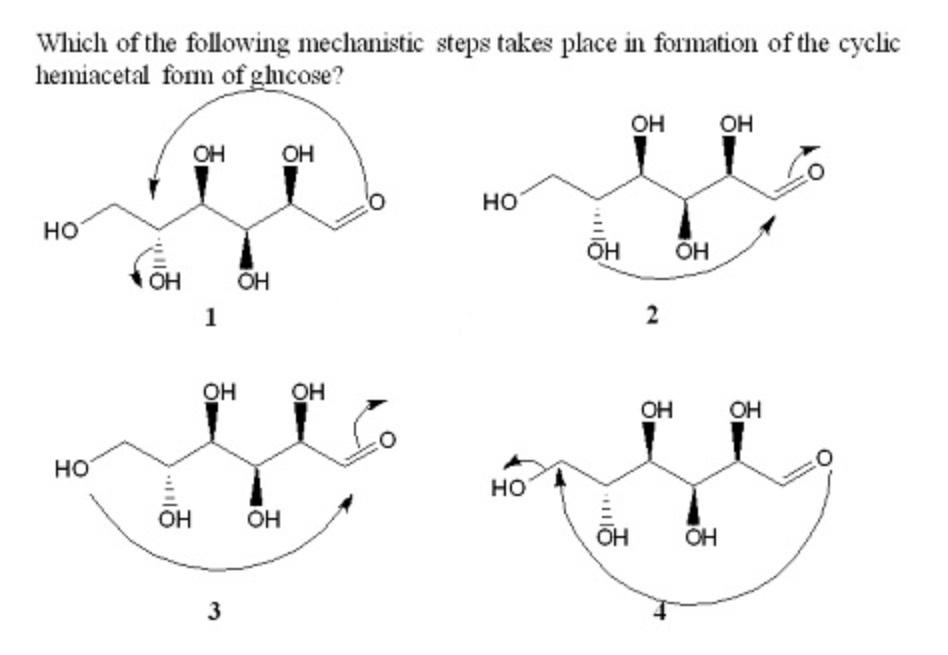 Solved Which of the following mechanistic steps takes place | Chegg.com