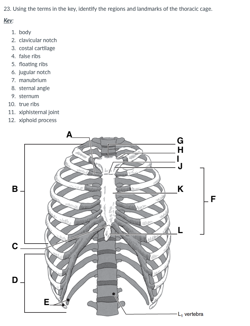 SOLVED: Drag The Labels Onto The Diagram To Identify The, 06/19/2024