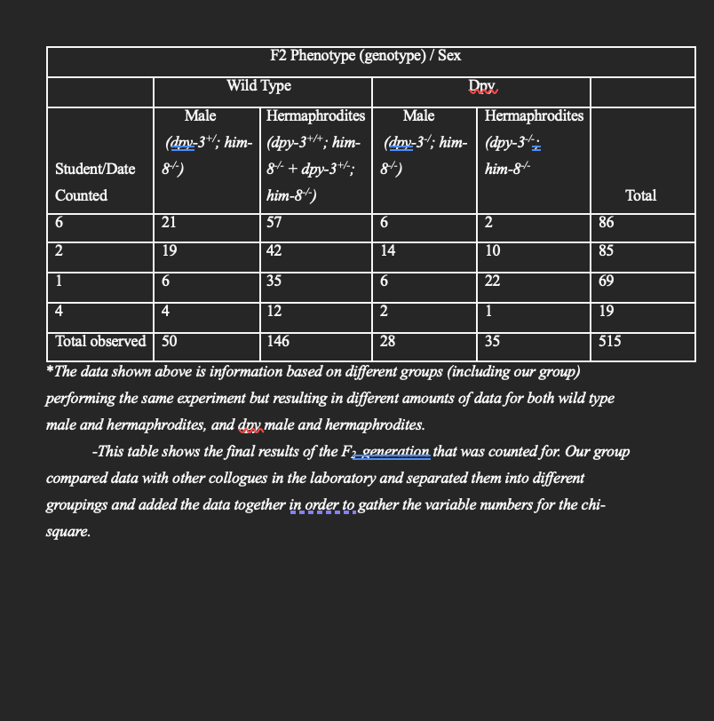 How To Format A Lab Report On Google Docs