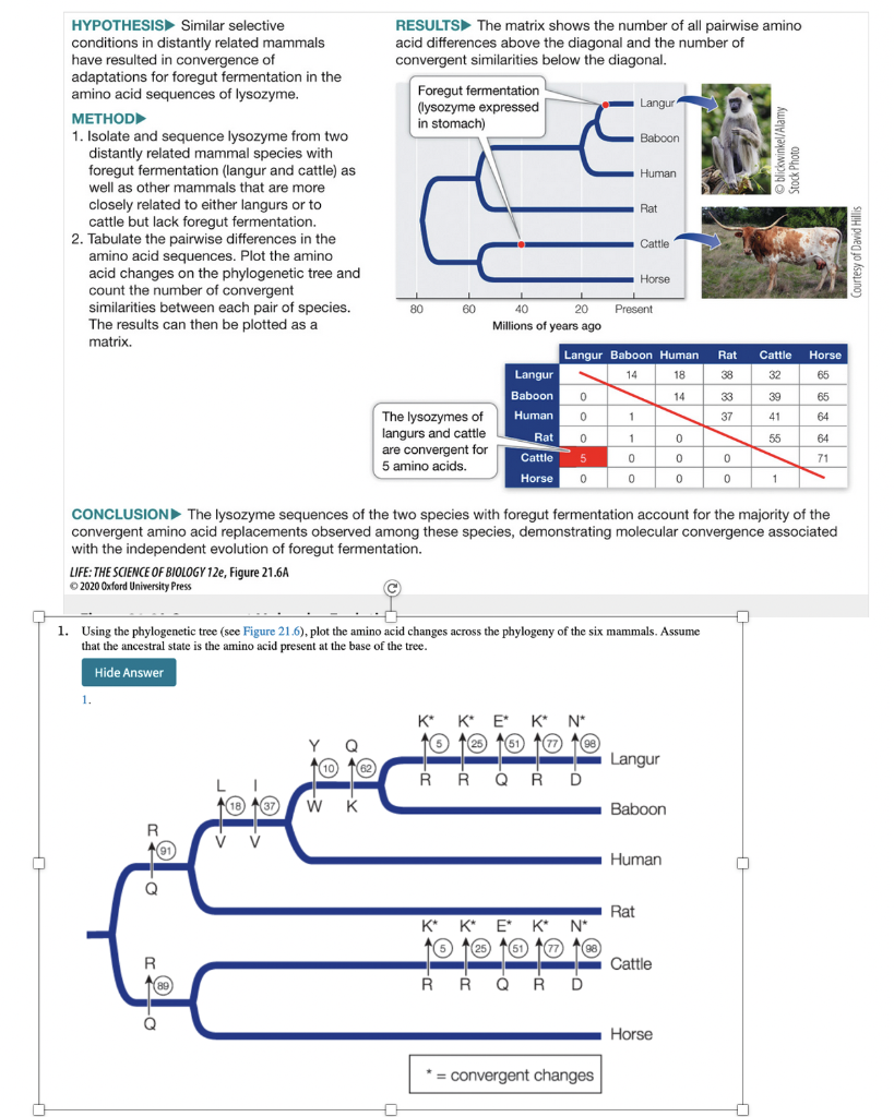 Using the phylogenetic tree (see table 21.6), plot | Chegg.com